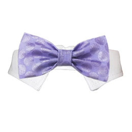 Dylan Bow Tie