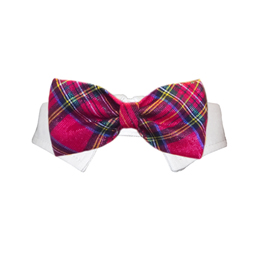 December Bow Tie