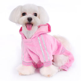Diva Jumper