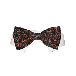 Gabriel Bow Tie