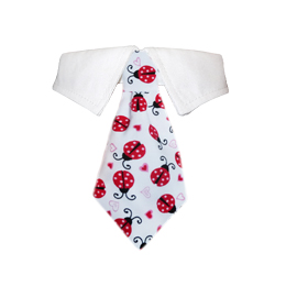 Lady Bug Shirt Collar