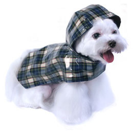Levi Raincoat