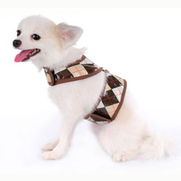 Andy Harness Top