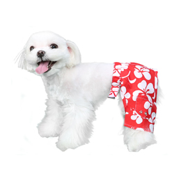 Okinawa Swim Trunk