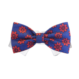 Preston Bow Tie