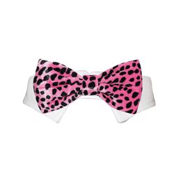 Roberto Bow Tie - Pink