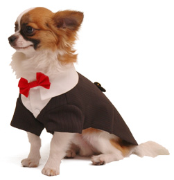 Ruff Ruff Tux