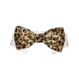 Roberto Bow Tie - Tan