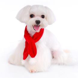 Santa Paws Scarf