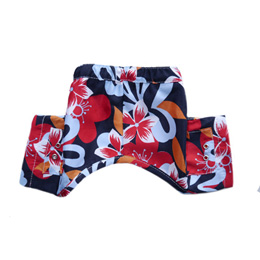 Venice Swim Trunk