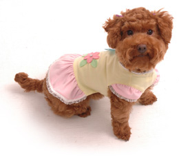 Sydney Day Dress