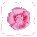 Jolie Collar Flower - Pink