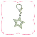 Star Charm