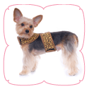 Bailey Harness Top