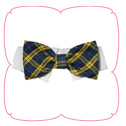 Bruce Bow Tie