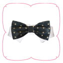 Cameron Bow Tie