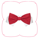 Christian Bow Tie