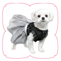 Camila Party Dress