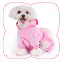 Diva Jumper