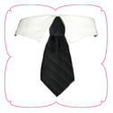 Dylan Shirt Collar