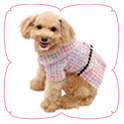 Evelyn City Coat