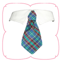 Eli Shirt Collar