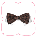 Gabriel Bow Tie