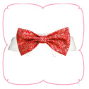 Holly Bow Tie