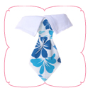 Aloha Shirt Collar