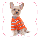 Ian Polo Shirt