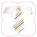 Lucas Shirt Collar
