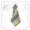 Aidan Shirt Collar
