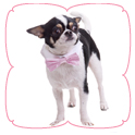 Pink Satin Bow Tie