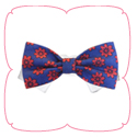 Preston Bow Tie