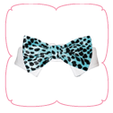 Roberto Bow Tie - Aqua