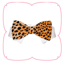 Roberto Bow Tie - Orange