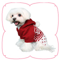 Reese Sweater - Red