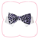 Roberto Bow Tie - Purple