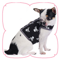 Skull Harness Top