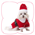 Santa Paws Coat