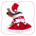 Santa Paws Dress