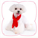 Santa Paws Scarf