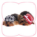 Tweed Hat - Red