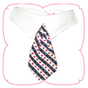 Tommy Shirt Collar