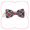 Samuel Bow Tie