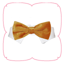 Valentino Bow Tie - Gold