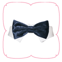 Valentino Bow Tie - Navy