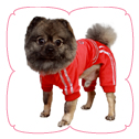 Woof Jumper