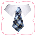 Taylor Shirt Collar