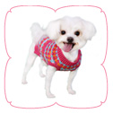 Zoe Sweater - Pink